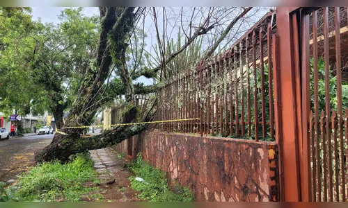 Temporal derruba torre de transmissão; 155 mil estão sem energia no PR