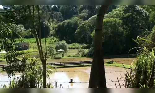 Empresário reage a tentativa de assalto e mata ladrão no PR