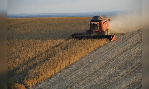Menor safra de soja, milho e sorgo reduz estimativa do IBGE