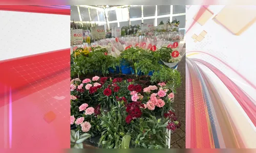 Expoflor: feira de plantas segue até sábado (5) em Apucarana