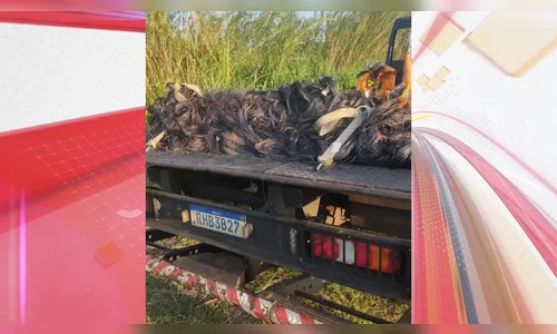 Homem é preso queimando fios de cobre em propriedade de Apucarana