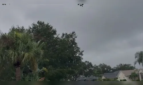 Família de Arapongas é surpreendida por furacão em viagem aos EUA