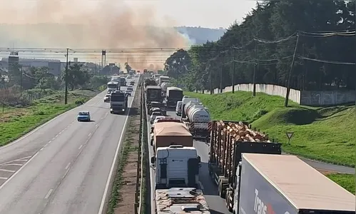 Incêndio ambiental causa engarrafamento na BR-376