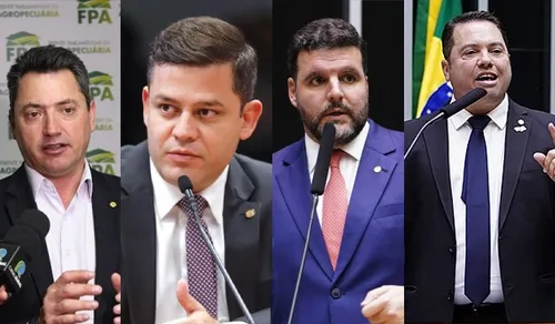 Iniciativa foi liderada por parlamentares