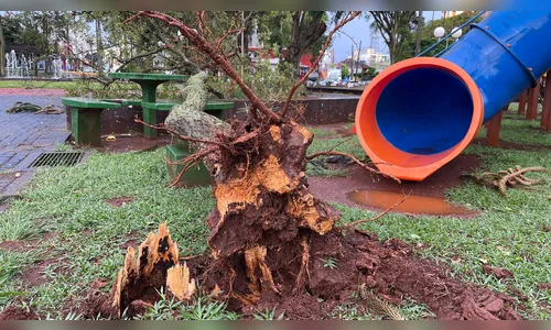 Veja fotos dos estragos do temporal nesta quinta-feira em Apucarana