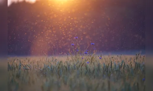 Veja a previsão do tempo desta quarta-feira (30) para Apucarana