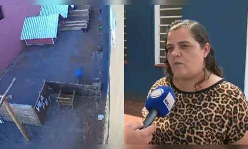 “Nunca foi agressivo”, diz diretora sobre criança que matou 23 animais