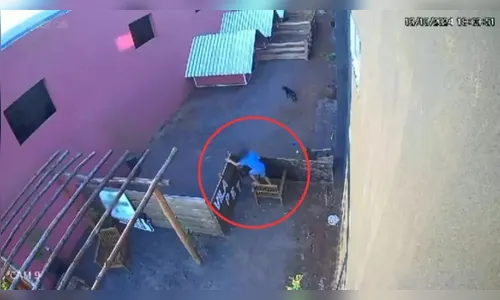 Massacre de bichos promovido por criança não será punido, diz polícia