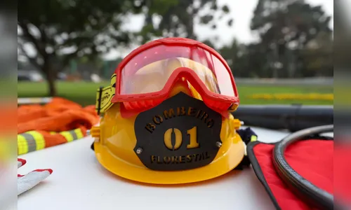 Paraná forma 600 novos brigadistas para combate a incêndios florestais