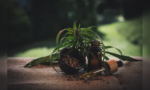 PR oferta remédio à base de canibidiol para esclerose múltipla