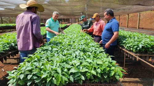 O início das entregas foi na terça-feira