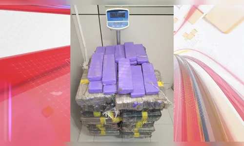 Operação conjunta apreende 171 kg de maconha e prende suspeito no PR