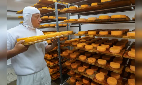 Industrialização e tecnologia no campo estimulam cadeia do leite no PR