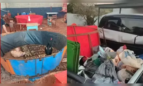 PM descobre rinha de galo no PR; evento tinha apostas e 32 aves