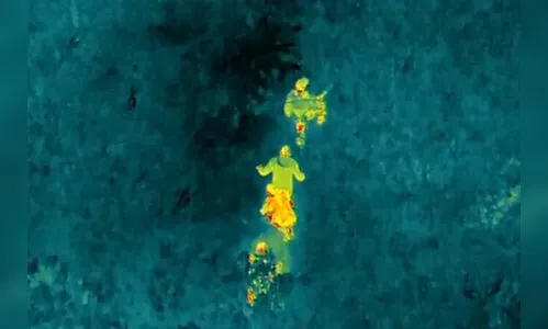 PM usa drone térmico para achar fugitivos no meio da mata no PR
