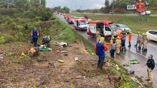 Os trabalhadores faziam a poda da vegetação às margens da estrada