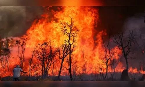 PF vasculha casa de suspeito por incêndio no Parque Nacional