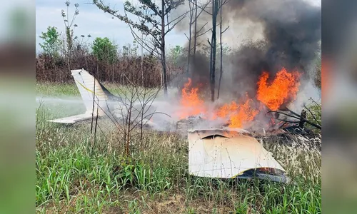 FAB, PF e PM apreendem avião lotado de cocaína