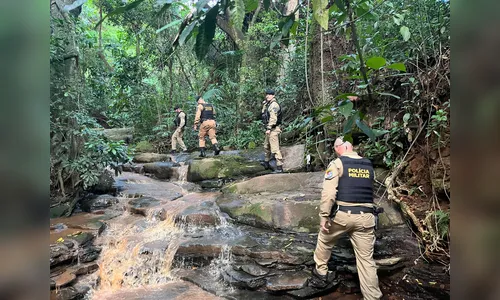 Tiros em meio a mata mobilizam equipes da PM em Jandaia do Sul; veja