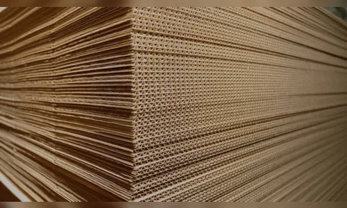 Recorde histórico: expedição de papel ondulado soma 376 mil toneladas