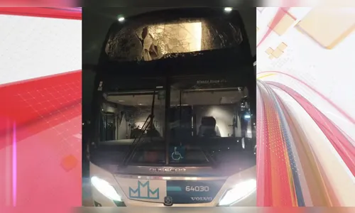 Rodado de caminhão atinge ônibus e mata passageiro na BR-376