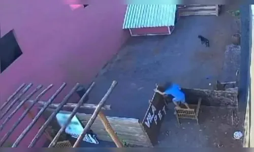 Advogado de criança que matou animais critica alegação de veterinária