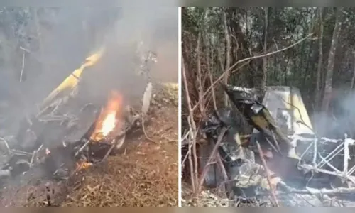 Seis bombeiros morrem em acidente aéreo em Minas Gerais