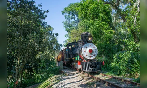 Conheça a locomotiva mais antiga do PR que faz viagens no Natal