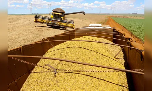 Estelionatários se passam por agricultores para aplicar golpes