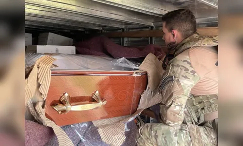 Vinhos contrabandeados são encontrados em caixões no Paraná; veja