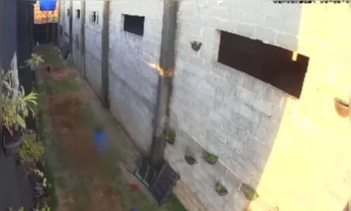 MP investiga mensagens de ódio contra menino que matou animais