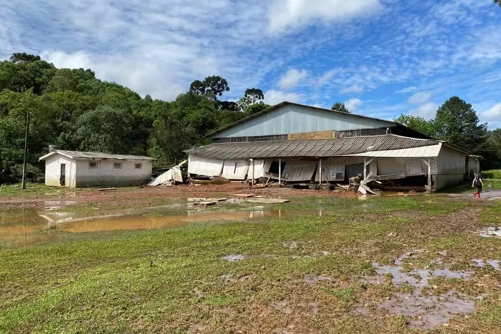 A corporação conta que o caso aconteceu por volta da 1h30, enquanto a menina estava dormindo, e que foi acionada por volta das 2h pelo Posto da Brigada Comunitária de General Carneiro.