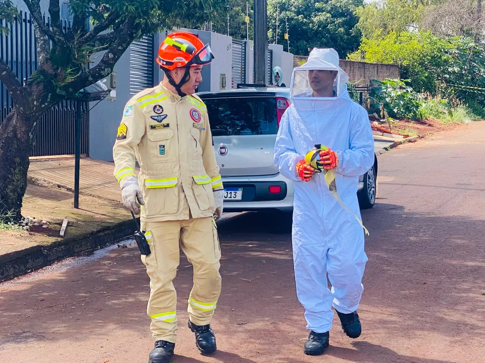 Bombeiros chamaram apicultor para ajudar no controle das abelhas