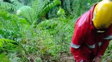 Bombeiros e voluntários realizam as buscas