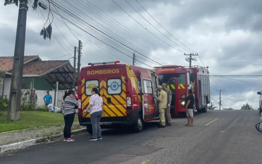 Ela realizava trabalhos no terreno de casa quando foi surpreendida pelos insetos