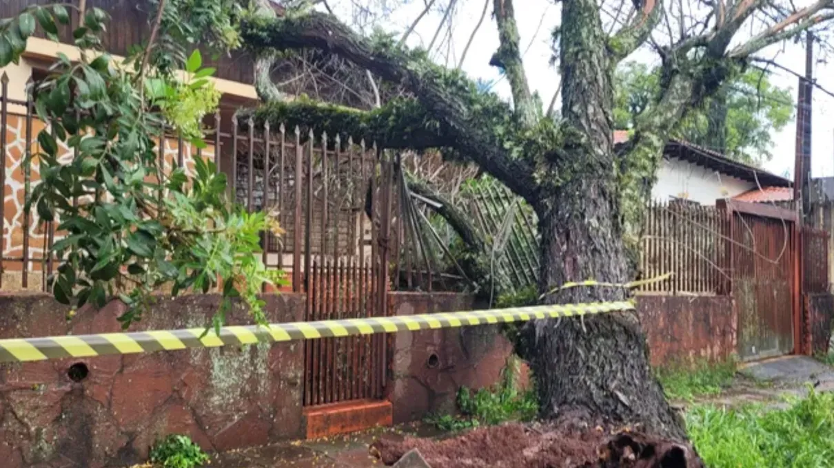 Inmet emite alerta para chuvas intensas no Paraná e outros estados