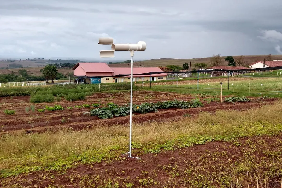 Pesquisadores do Paraná usam Inteligência Artificial no combate da ferrugem da soja