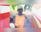 Agricultor morre após ser picado por cobra em Borrazópolis