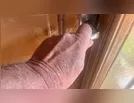 Homem bêbado invade casa em Ivaiporã e foge antes da chegada da PM