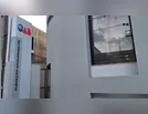 OAB Apucarana repudia assassinato de cães a tiros em Novo Itacolomi