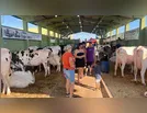 AGROPECUÁRIA