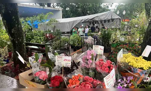Último dia da Expoflores do Rotary Ivaiporã Integração é neste domingo