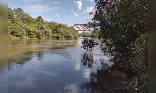 Estado vai soltar 1,3 milhão de peixes nativos no maior rio do PR