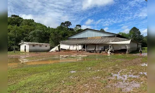 Criança de 2 anos some após casa ser invadida por enxurrada no PR