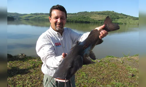 Programa Rio Vivo vai soltar 2,6 milhões de peixes nas bacias do PR