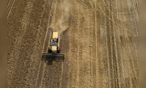Paraná encerra colheita de cevada, última cultura da safra de inverno