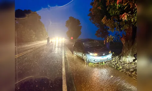Carro bate contra pé de manga e motorista morre em São João do Ivaí