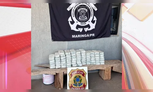 Motorista carregando mais de 70kg de cocaína é preso na PR-487