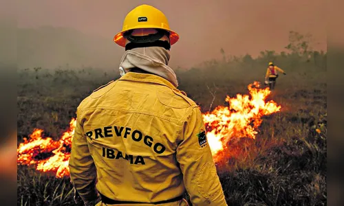 Não precisa de concurso! Ibama abre vagas com salário de até R$ 3.300