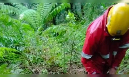 Bombeiros fazem buscas por dois jovens desaparecidos na Serra do Mar